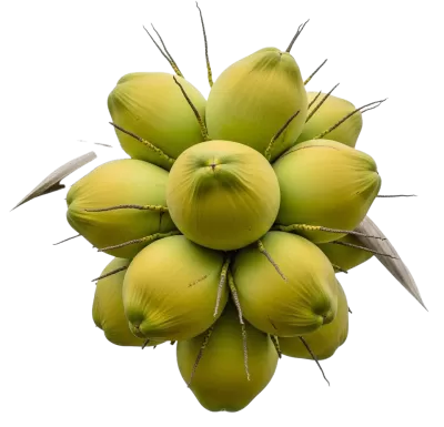 Imagen PNG para descargar